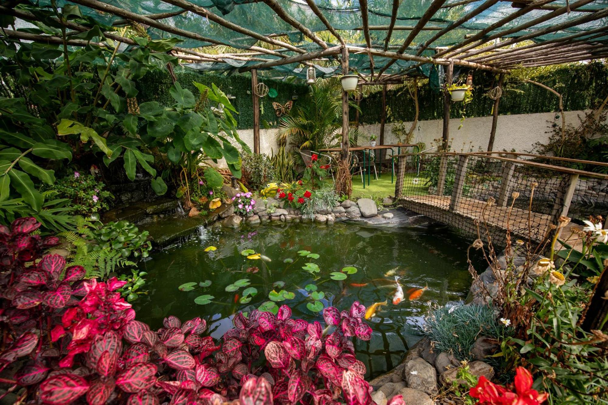 Levada House Prazeres Βίλα Εξωτερικό φωτογραφία